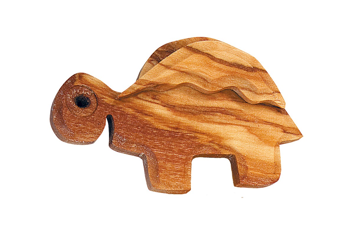 Magnet with turtle 
